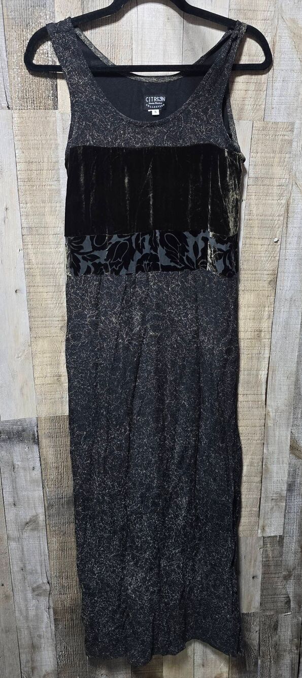 Citron Santa Monica Vintage 90s Silk Velour Maxi Dress Small Rachel Greene Hippy